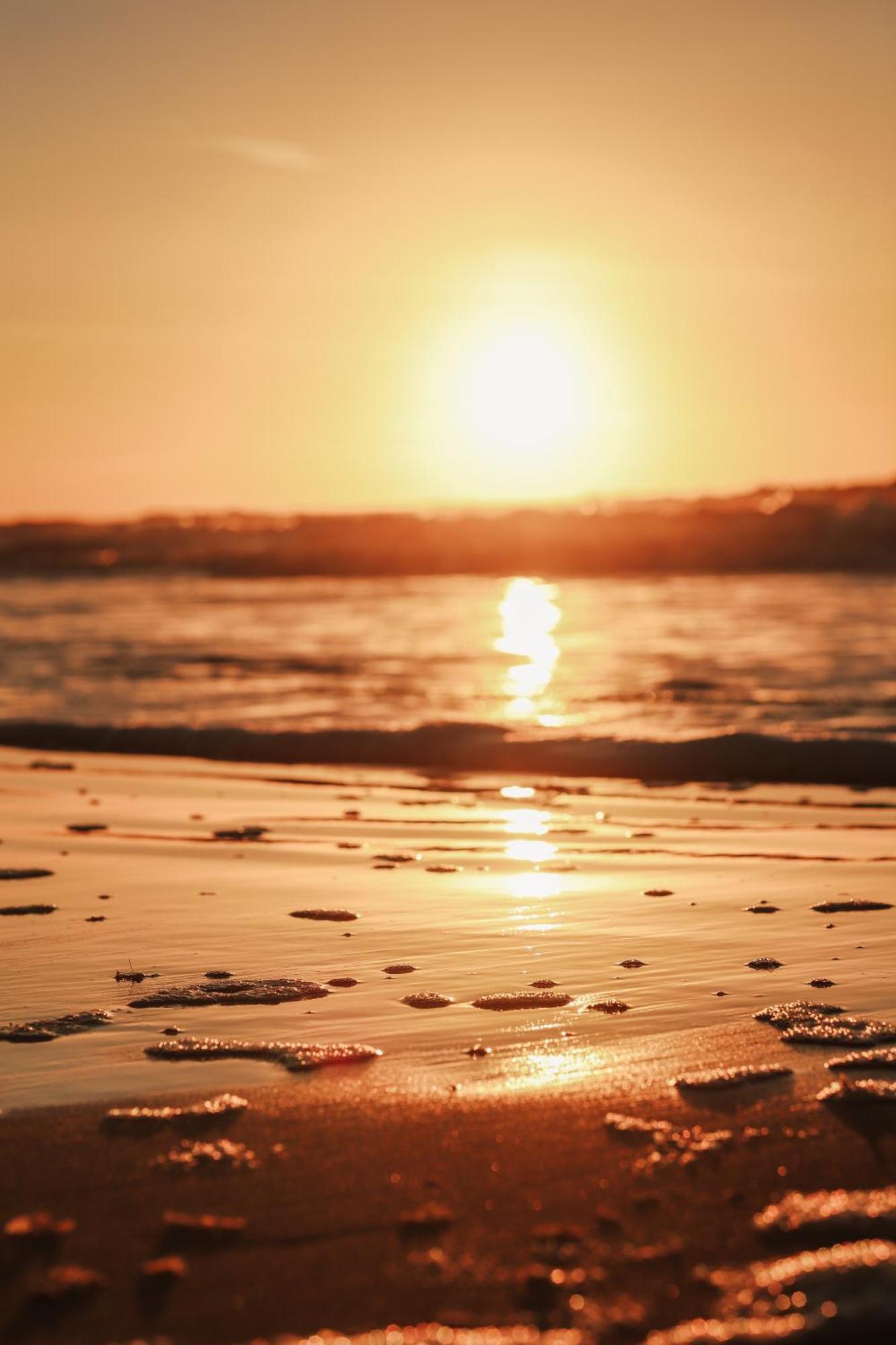 Strandhuisjes Zoomers Aan Zee Castricum Εξωτερικό φωτογραφία